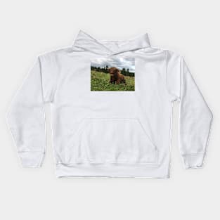 Scottish Highland Cattle Bull 1513 Kids Hoodie